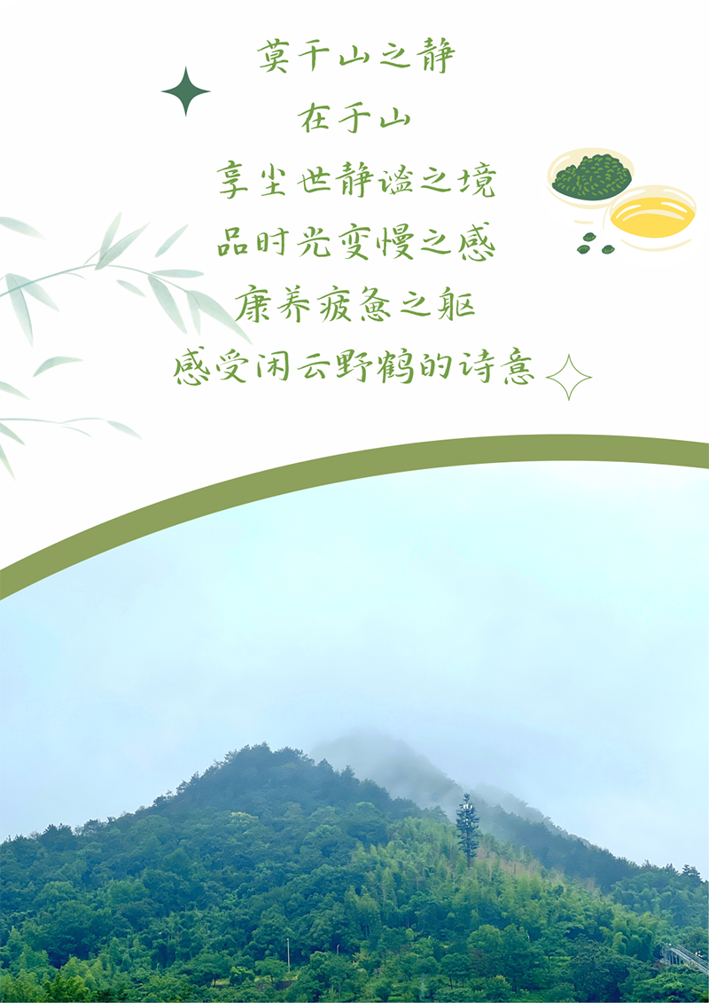 心心念廿 相伴博世娱乐 | 与德清相约 贺廿载诞辰